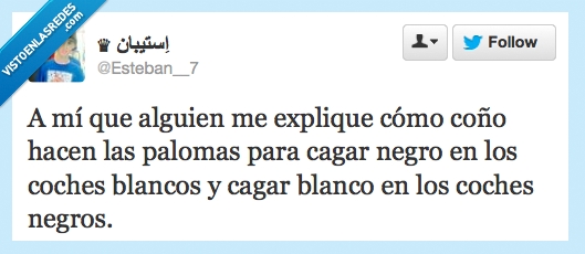 coche,negro,blanco,cagar,paloma