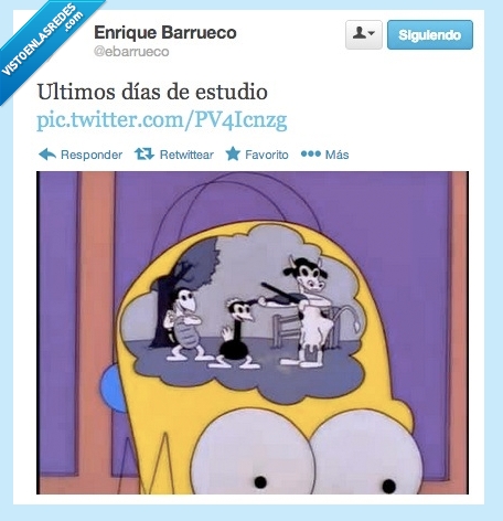 estudio,examenes,simpson,twitter,absurder,cabeza,interior,homer