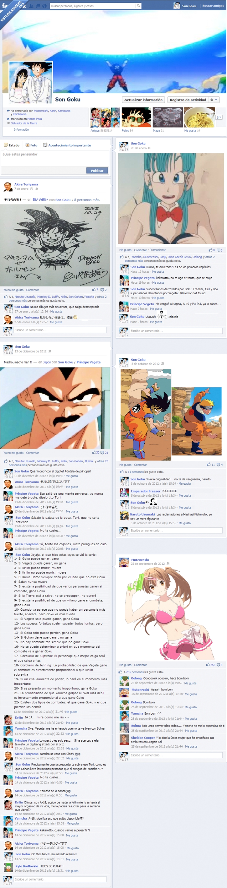 334705 - El facebook de Son Goku