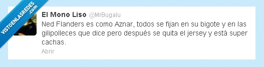 Ned Flanders,Aznar,Parecidos razonables,Cachas,Gilipolleces