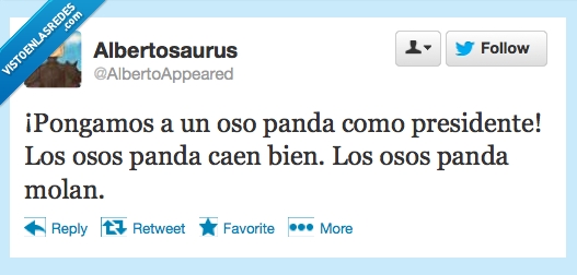 presidente,oso panda,bien,cae
