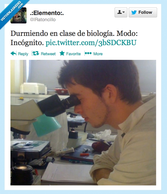 dormir,microscopio,mirar,disimular