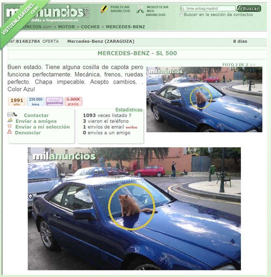 capota,vender,coche,gato