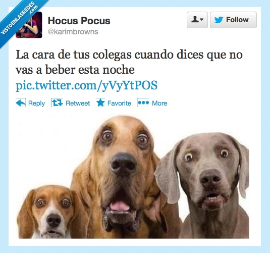 cara,colega,perro,noce,no,beber