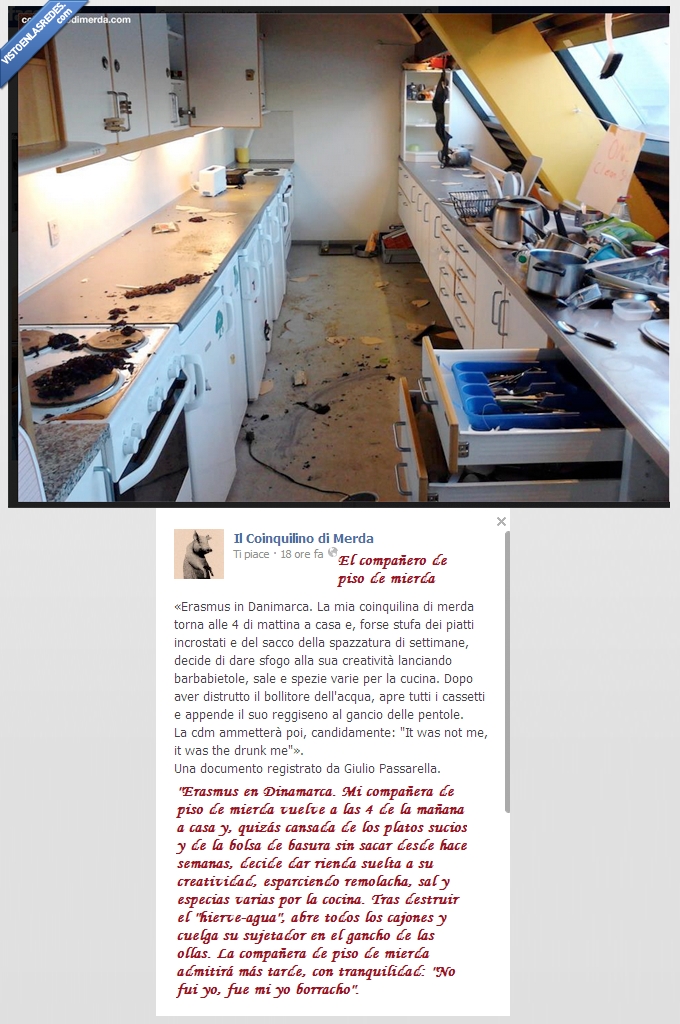 compañero,piso,borracho,desastre,sujetador,especia