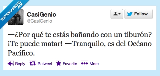 pacifico,oceano,matar,baña,tiburon