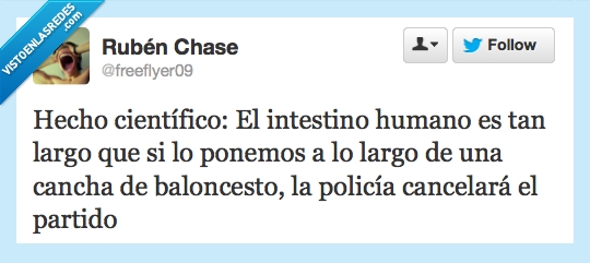 largo,humano,cancelar,partido,baloncesto,cancha,policía,intestino,científico,hecho