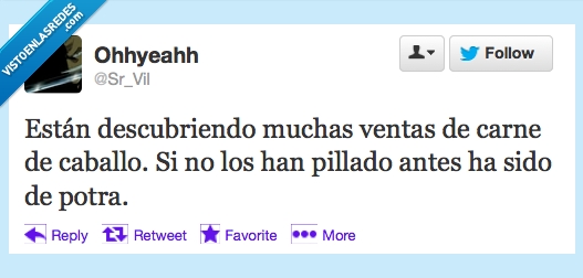 caballo,carne,potra,descubrir,estafadores,suerte,pilla