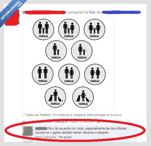 derecho,humanos,adoptar,s perros y gatos,familia,adopcion