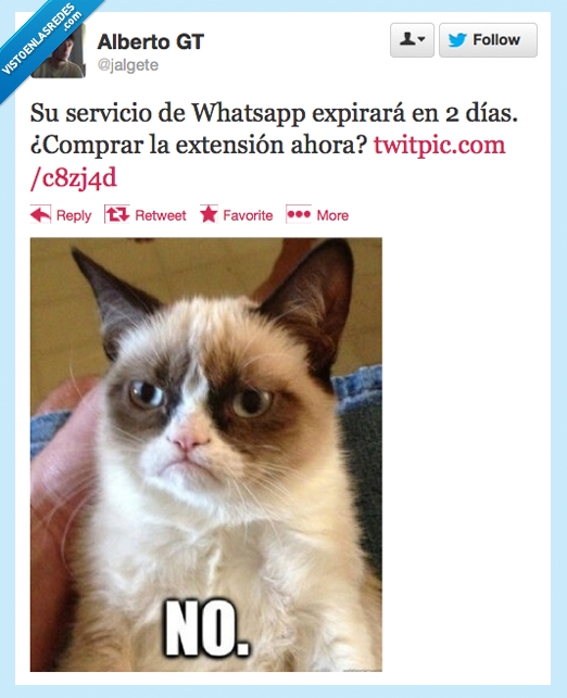 gato,whatsapp,mensaje,grumpy cat,gato gruñon