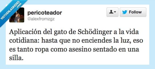 gato,schodinger,vida,asesino,ropa,silla,luz,oscuras,orden
