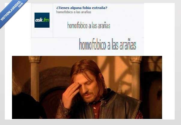 Ask,homofobico a las arañas,confusion,Ask otra vez,miedo,araña