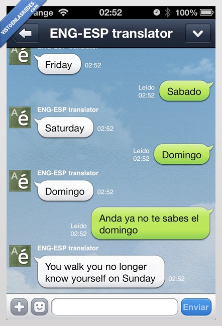domingo,Traductor,palabra,frase