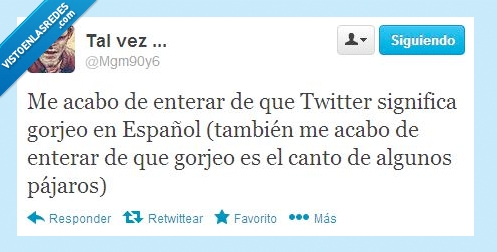 twitter,gorjeo,canto,pajaro,enterar,acabo