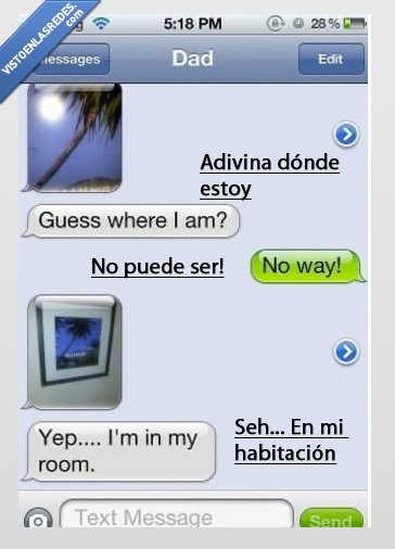 habitación,padre,troll,móvil,playa,palmera,vacaciones