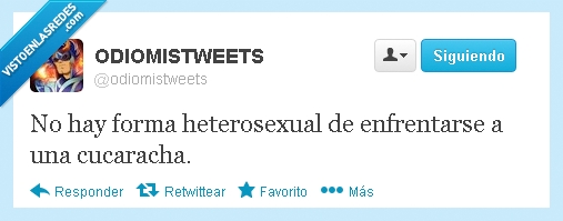 true story,enfrentarce,heterosexual,cucaracha