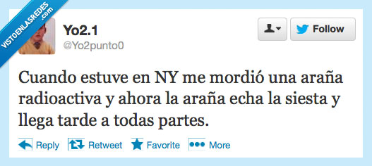 araña,dormir,siesta,tarde