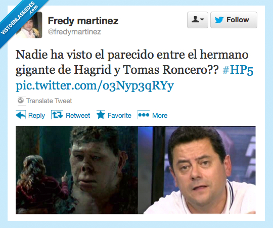 roncero,hermano,mayor,hagrid,harry potter