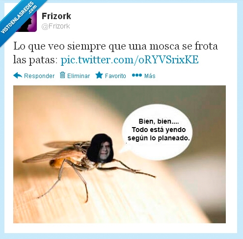 343438 - Las moscas que se frotan las patas por @frizork