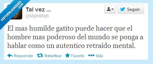 humilde,gatito,hacer,hombre,poderoso,hablar,retraido,retrasado,mental