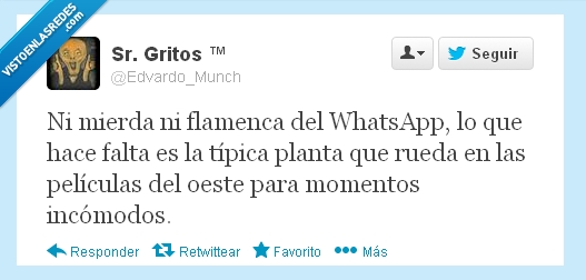 whatsapp,S18,rueda,planta,pelicula,oeste,momento,mejora,incomodo,flamenca