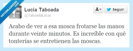 entreniene,manos,entretener,frotar,aburrimiento,moscas,patas,increible