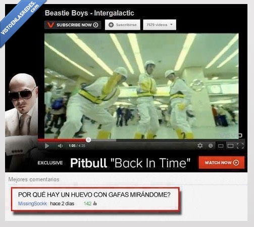 pitbull,huevo,youtube,comentario,emezeta,gafas,sol
