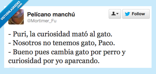 matar,aparca,perro,gato,mato,curiosidad