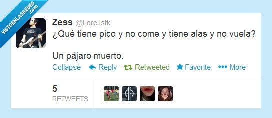 muerto,twitter,pájaro,pico,alas