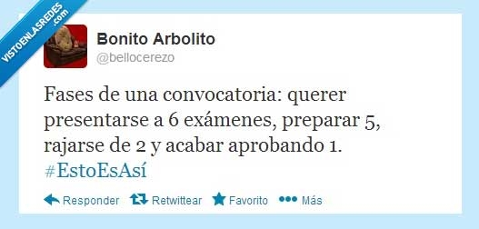 fase,convocatoria,exámenes,rajarse,aprobar