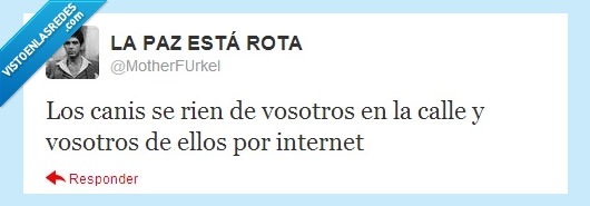 reirse,Canis,twitter,internet,nerds,collejas,frikis