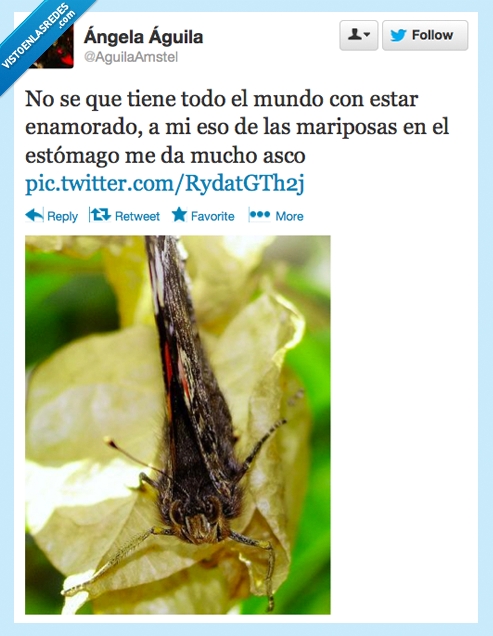 mariposa,estomago,amor,asco,bicho