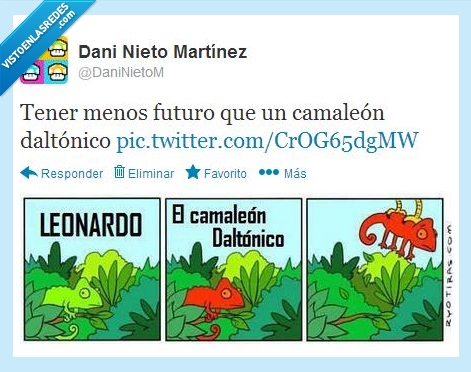 colores,daltónico,camaleón,leonardo,fail,risa tonta