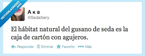 verdadera,verdad,colegio,caja,animales,gusanos