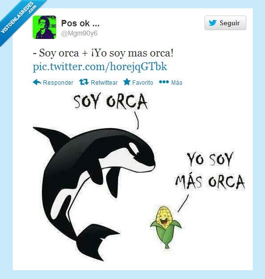 orca,mazorca,chistaco,malisimo,mas orca