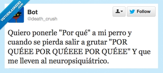 psiquiatrico,loco,nombre,porque,perro,gritar