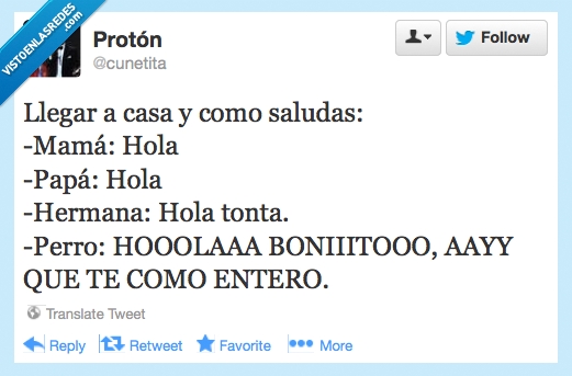 cariño,bonito,perro,tonta,insulto,hermana,hola,mama,papa,saludar,saludo