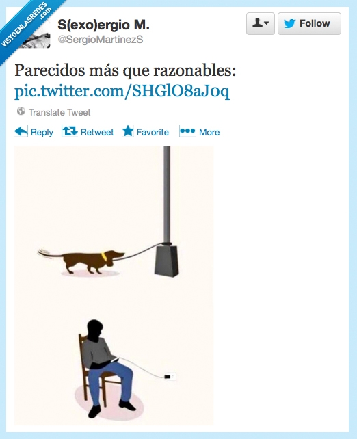 esclavo,batería,móvil,cargador,hombre,atado,perro