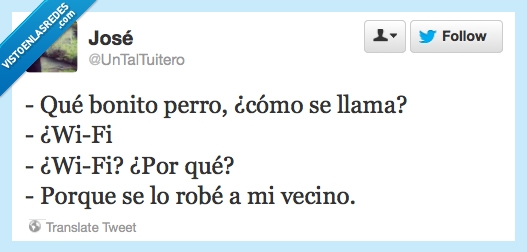 wifi,perro,robar,vecino,wi-fi