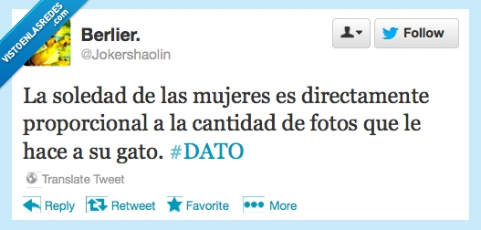 directamente,foto,loca,mujeres,soledad,gato