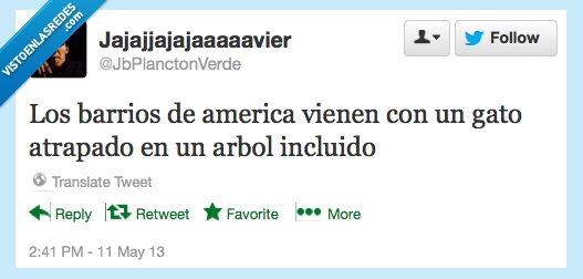 bomberos,bajar,socorro,arbol,gato,tipico