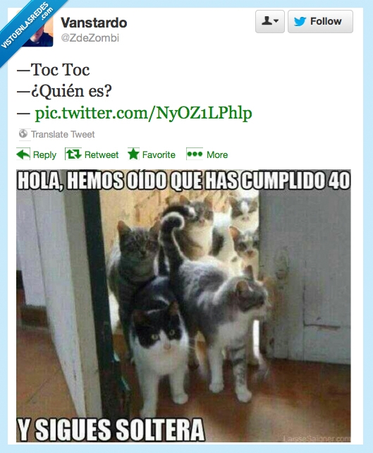 años,solo,gatos,twitter,soltera,loca de los gatos detected