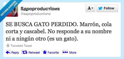 pasotismo,pasota,responder,nombre,perdido,gato