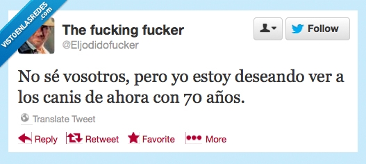 vosotros,ver,cani,70,viejo,año