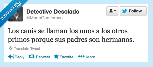 Hermanos,Primos,Canis