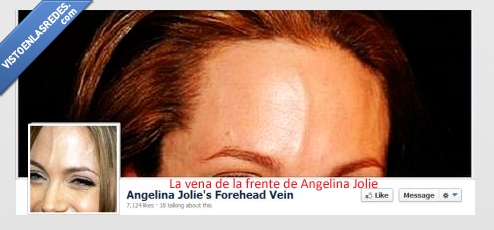 angelina jolie,facebook,frente,vena