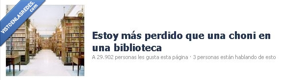 biblioteca,choni,perdido