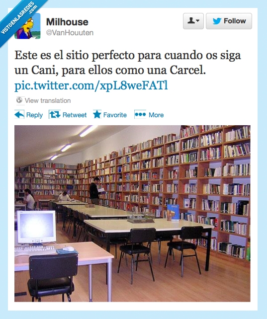 canis,refugio,locos,biblioteca,carcel,huir,esconder