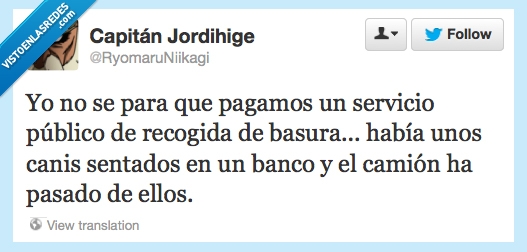 recogida,limpieza,camión,canis,basura,público,servicio