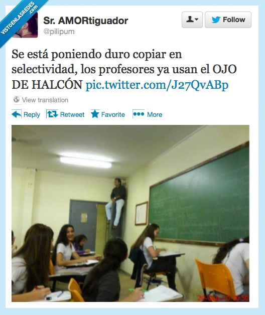 selectividad,ojo,halcón,usan,profesor,encima,puerta